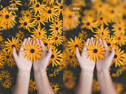 Open the afterfocus app, then tap select photo. Blur Photo Online Blur Image Background Tool For Free Fotor Photo Editor