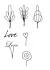 Easy Chocolate Piping Designs