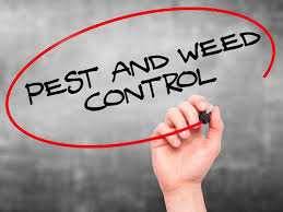 One of the major cons to diy pest control is you can. Diy Do It Yourself Pest And Weed 972 769 7378