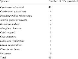 Image result for Lovoa swynnertonii