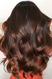 34 Seductive Chestnut Hair Color Ideas To Try Today Lovehairstyles Com Brown Hair Shades Brunette Hair Color Chestnut Hair