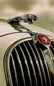 Pin By Umar Ali On Carros Jaguar Jaguar Car Jaguar Car Logo Car Logos