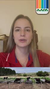 Resumen destacado del 46° Congreso Argentino de Producción Animal,  Pergamino, 2023. Efecto de la mitigacion física del calor a través de  dietas en el desempeño de vaquillonas Angus en engorde a corral ...