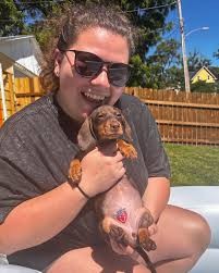 Frankie and Winnie had a blast yesterday 🏖️ don't let that last picture  fool you