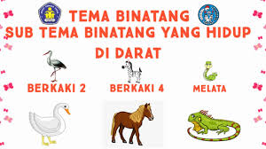 Gerak pada hewan di air di udara dan di darat. Video Pembelajaran Paud Tema Binatang Sub Tema Binatang Di Darat Youtube