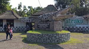 Taman buaya indonesia jaya seperti kalah bersaing dengan destinasi wisata. Taman Buaya Indonesia Jaya Penangkaran Buaya Terbesar Di Asia Backpacker Jakarta