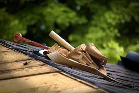Online bill payment is easy, secure, and fee free! Nader S Pest Raiders Pest Control Removal Services For Yulee Fl
