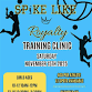 Spike Like Royalty Ages 10-12 Volleyball Clinic event image
