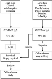 Learn more about celiac disease testing. Diagnosis Of Celiac Disease Download Scientific Diagram
