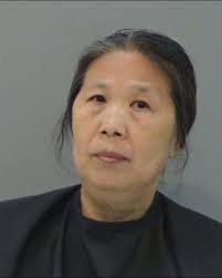 JOHNSON, CHI HUI was booked into the Tom Green County Jail