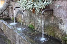 Resultat d'imatges de Abeurador