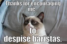 Grumpy Cat Memes Quickmeme