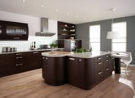 black kitchen cabinets design ideas