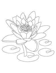 Pin On Flower Coloring Pages