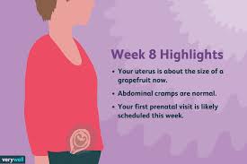 8 weeks pregnant symptoms baby
