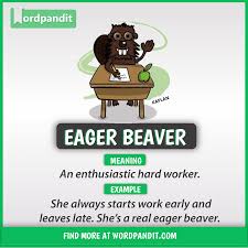 Idiom Of The Day Eager Beaver English Vocabulary Words Idioms And Phrases English Words
