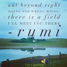 Picture Rumi Quotes Out Beyond Right Doing And Wrong Doing There Is A Field I Will Meet You There Rumi Rumi Quotes Forgiveness Life
