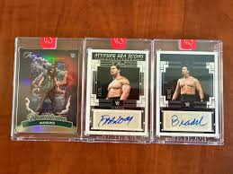 Merry Christmas, everyone! My wife got me a box of WWE Three Count, I'm  pretty stoked about what I pulled.