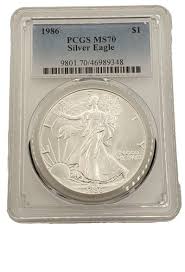 Image result for Pure Silver 2001 Mini