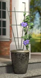 This pot has a grid design to support your climbing plants. Panacea Fan Pot Trellis 91cm X 38cm Stratford Garden Centre