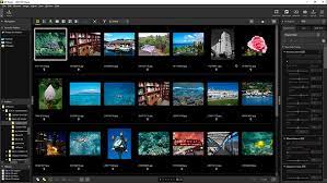 It supports a large range of camera manufacturers including canon, nikon, pentax, and sony. Review Nikon Nx Studio Answers Our Plea For A Free All In One Editing App Digital Photography Review