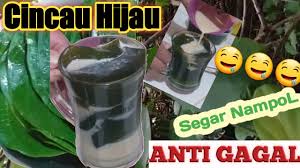 Jul 11, 2021 · perlu diketahui bahwa daun cincau memiliki manfaat yang saangat bagus bagi kesehatan anda, seperti : 9 03 Mb Cara Membuat Cincau Hijau Anti Gagal Cincau Segar Minuman Sehat Download Lagu Mp3 Gratis Mp3 Dragon