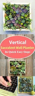 Maybe you would like to learn more about one of these? Vertical Succulent Wall Planter In Quick Easy Steps Diy Idea Succulent Wall Planter Succulent Garden Diy Succulent Planter Diy