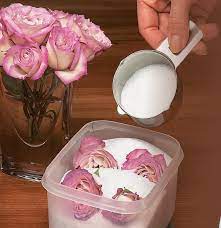 Information about our latest product, silica gel crystals: How To Dry Flowers Using Silica Gel Beads Alltrendingtrades