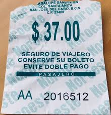 Ruta Del Desierto San Jose Del Cabo 2021 Lo Que Se Debe Saber Antes De Viajar Tripadvisor