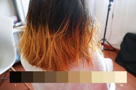 Dyeing dark hair without the use of bleach can help keep your hair safe from the damage of excessive bleaching. Hetstkd9gzkkfm