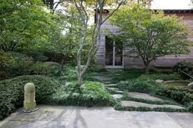 Ideal for banks and slopes as a groundcover. Ground Cover That Stays Green In The Winter