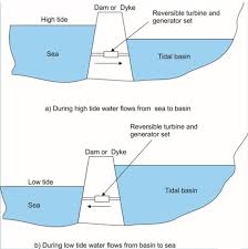 What are the pros and cons of tidal energy? Tidal Power Plant Ocean Tide Tidal Energy Power Generation