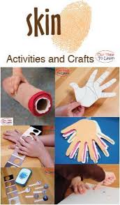 Activity Ideas And Crafts About Skin For Your Human Body Unit From The Our Time To Learn Blog And A Human Body Lesson Human Body Activities Human Body Systems