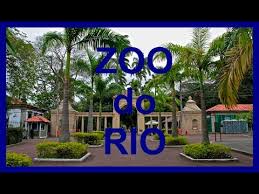 Jardim zoológico riozoocurrent page jardim zoológico riozoo. Jardim Zoologico Do Rio De Janeiro Youtube