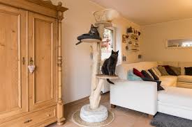 Es soll das fell ihrer katze aufpolieren, ohne unangenehm oder schmerzhaft für das tier zu sein. Kratzbaum Selber Bauen Mit Gratis Anleitung Selbermachen De