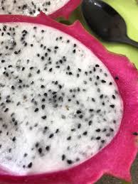10 fruits you can feel free to share with your furry friend. Found These Tiny Brown Seeds Inside My Dragon Fruit Anyone Know What They Are Are They Safe To Eat Whatisthis