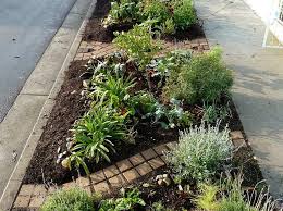 Ron S Parkway Garden Recap March 2011 By Lagreengrounds Via Flickr Sidewalk Landscaping Drought Resistant Plants Urban Garden