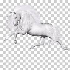 Pngitem provides millions of free hd transparent images. Ferghana Horse Png