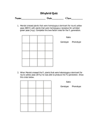 Punnett squares and a dihybrid cross. Dihybrid Punnett Square Quiz By Goby S Lessons Tpt
