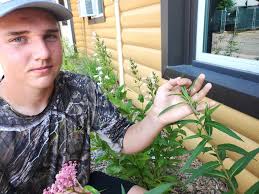 Detroit Lakes Boy Scout earns first Distinguished Conservation Service  Award for Northern Lights Council