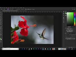 Now select paint bucket tool or use shortcut shift+g. Apply Foreground Or Pattern With Paint Bucket Tool Photoshop Paint Buckets Photoshop Painting