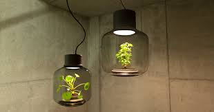 Check spelling or type a new query. We Designed These Lamps To Grow Plants In Windowless Spaces Bored Panda