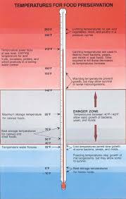 Chart Of Temperatures For Food Preservation Canning Tips