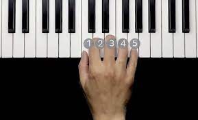 Important pointers while doing the exercises Finger Positions Four Piano Finger Exercises That Will Set You On Your Way
