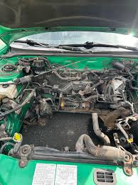 Image result for Tropic Green 2000 Tiburon