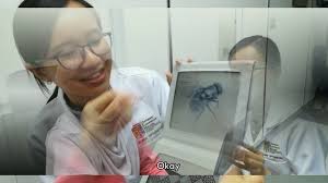 The sensitivity of the titmus fly test was 79%, but specificity was only 26% due to the large number of false positive responses detected with the modified presentation. Stereopsis Test Tno Test And Stereo Fly Test Youtube
