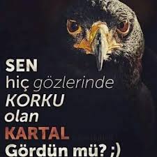 Besiktas Besiktask Karakartal Bjk Kartal Sen Hic Gozlerinde Korku Olan Kartal Gordun Mu Guzel Soz Kartal Ask