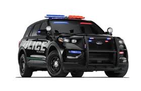 Image result for Arizona Beige 2021 Interceptor
