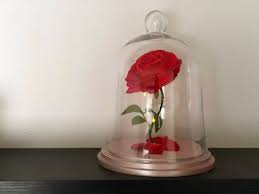 Enchanted Rose Life Size Beauty And The Beast Enchanted Rose Rose In Glass Cloche Champagne Pink Base Light Up Rose Led Lights 13 Enchanted Rose Flower Lamp Glass Cloche