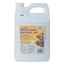 Spinosad is a leading pesticide used worldwide in the production. Monterery Garden Insect Spray Spinosad 1 Gallon Buy Online In Germany At Desertcart De Productid 13832667